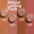 thumbnail image 3 of Blush Powder Physicians Formula Powder Palette Blushing Rose, 3 of 6