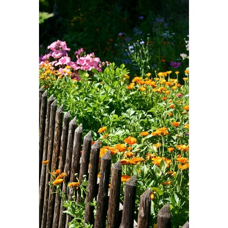 Framed Art For Your Wall Garden Fence Garden Fence Plant Summer