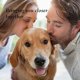 thumbnail image 5 of Juguete de cuerda para perros, paquete de 8 Juguetes interactivos para perros, Juguete para masticar, Accesorios para perros Juguetes, Juguete de cuerda duradero Soledad Perros pequeños y medianos Sa, 5 of 5