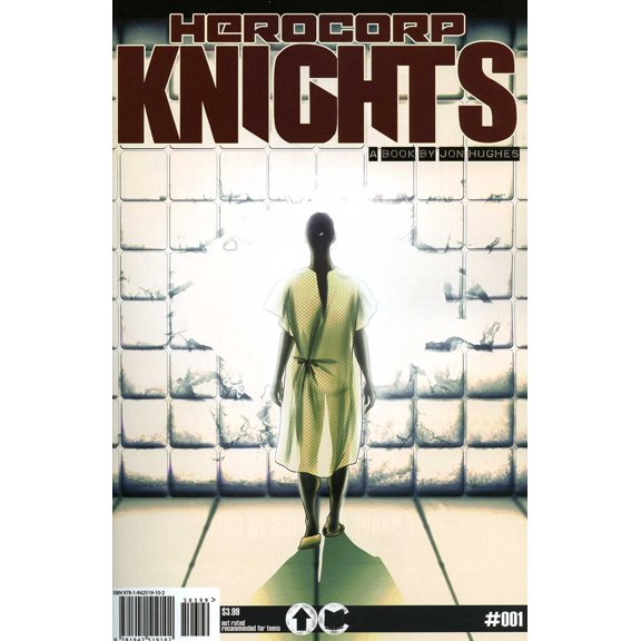 Herocorp Knights #1 VF ; Overground Comic Book