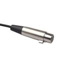 thumbnail image 2 of Cable Audio Micrófono XLR 3 Pines A Conector Estéreo 5 Mm Y 1/8 Pulgadas, 2 of 6