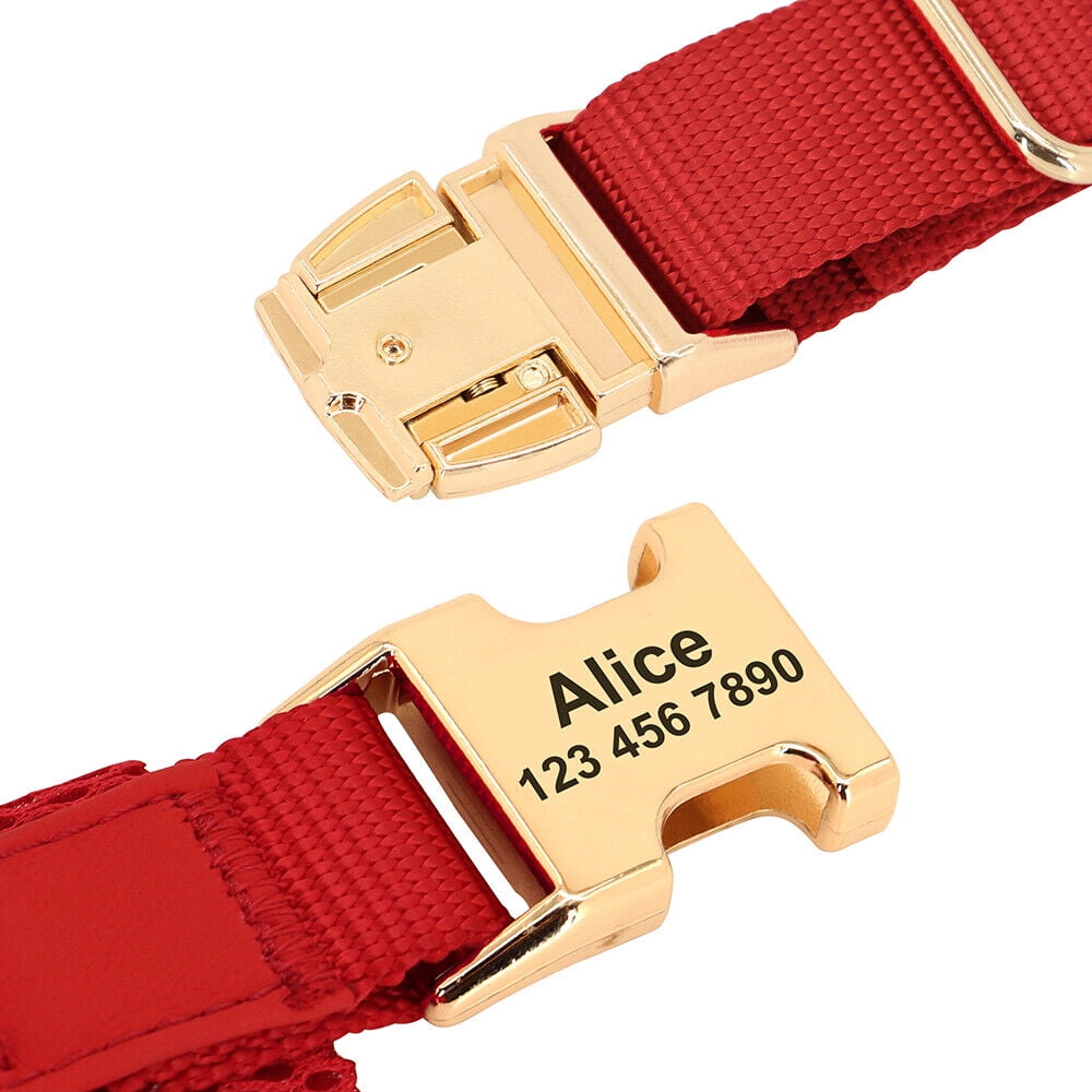 Didog No Pull Dog Harness Personalized Name Buckle Engraved Breathable Mesh Red Blue