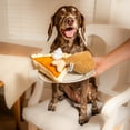 thumbnail image 3 of Midlee Thanksgiving Meal Dog Toy Set - Pumpkin Pie & Turkey Leg, 3 of 7