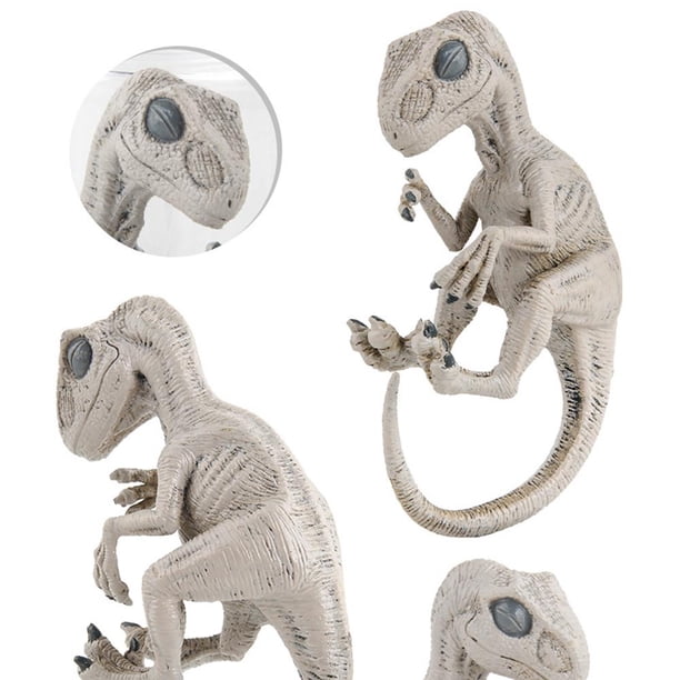 Simulación dinosaurio juguetes colección animales modelo muñeca regalos (Velociraptor)