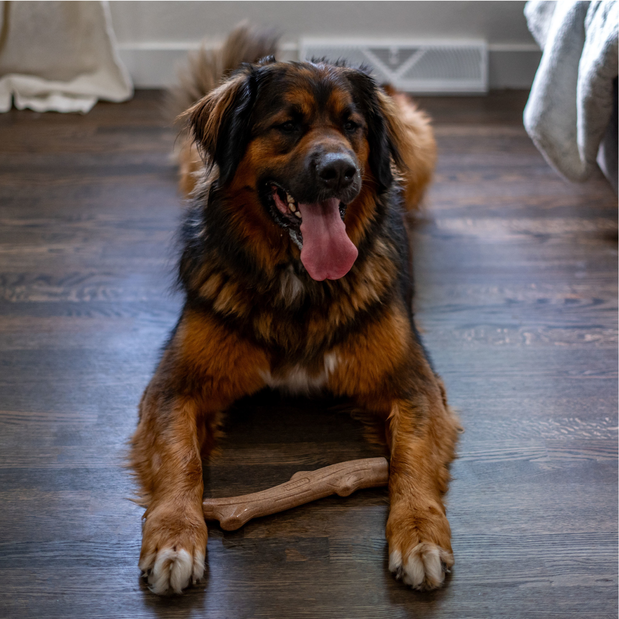 Petstages Pupstages Super Dogwood Dog Chew, Large photo 7