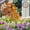 A, variant on Metal Dandelion Garden Stakes - 15.75in Wrought Iron Embroidered Ball Courtyard Decor - Faux Flower Plant Insert for Outdoor Planters, Lawn, Wedding