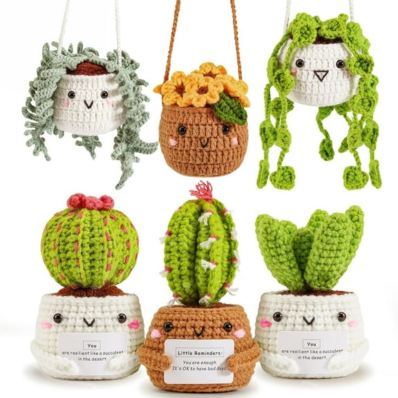 Crochet Kit for Beginners, Boriyuan 6Pcs Hanging Potted Plants and Cactus Succulent Family Crochet Kit with Crochet Accessories, Craft DIY Knitting Supplies for Adults