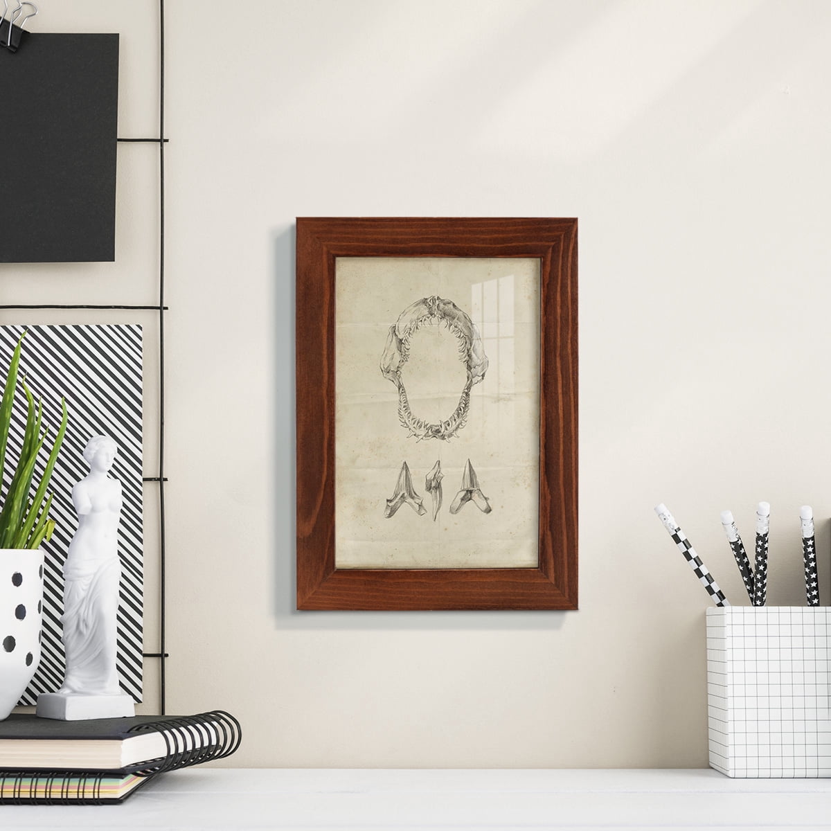 Shark Study I - Framed Print w/glass - Chestnut