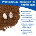 thumbnail image 2 of Sustrato de incubación de arcilla para huevos de reptiles Pangea Hatch, 1,8 kg, 2 of 7