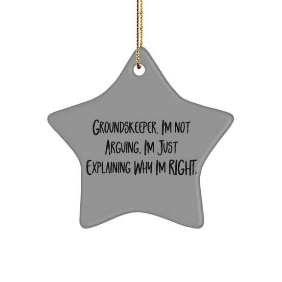 Funny Groundskeeper Gifts, Groundskeeper. I'm not Arguing. I'm Just Explaining Why I'm Right., Christmas Star Ornament for Groundskeeper
