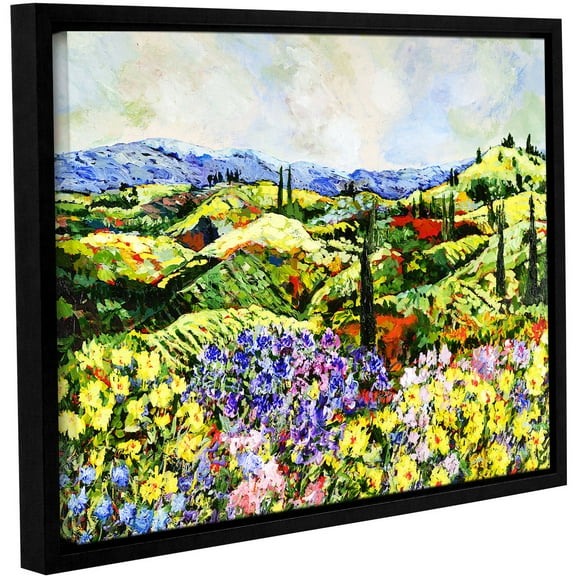 ArtWall Allan Friedlander "Dream Valley" Gallery-Wrapped Floater-Framed Canvas