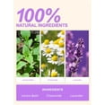 thumbnail image 4 of TeeLux Chamomile Lavender Tea Bags, Caffeine Free, Soothing & Delightful Aroma, 100 Count, 4 of 9