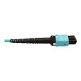 thumbnail image 4 of Eaton Tripp Lite Series 400G Multimode 50/125 OM4 Plenum Fiber Optic Breakout Cable, 24F MTP/MPO-PC to (x4) LC Duplex (F/M), Aqua, 5 m - Breakout cable - MTP/MPO/PC multi-mode (F) to LC multi-mode (M) - 5 m - fiber optic - duplex - 50 / 125 micron - OM4 - plenum - black, aqua, 4 of 4