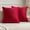 Red, variant on Nmkwnr Set of 2 Throw Pillow Covers with Zipper, Decorative Square Pillow Cases Velvet Cushion Covers for Sofa Couch Bed, 16"x16"