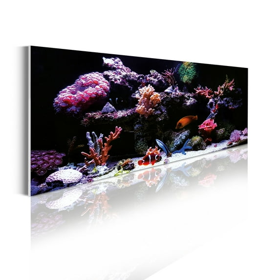 Animal Acrylic Glass Wall Art, Underwater Ocean Themed Aquarium Photo Colorful Coral Reef and Exotic Fishes, Panoramic Decor Living Room Bedroom & Dorms, 47" x 16", Black Multicolor, by Ambesonne