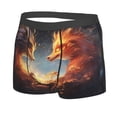 thumbnail image 2 of Daiia Red And Gray Flame Fox Men's Underwear Boxer Briefs, Cotton Stretch Moisture-Wicking Underwear-Large, 2 of 9
