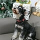 thumbnail image 5 of Collar para Perro ARING PET Navidad Rojo Reno Algodón L 40-60cm, 5 of 5