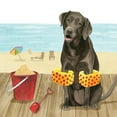 thumbnail image 3 of Popp, Grace 15x15 Black Modern Framed Museum Art Print Titled - Lets Go for a Boardwalk II, 3 of 5