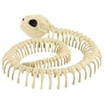 thumbnail image 6 of Happydeer Halloween Decoration Mini Skeleton Bone Statues Poseable Rat Dog Spider Cat Owl Skeleton Figurine for Haunted House Party Decor (Type Q), 6 of 13