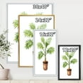 thumbnail image 4 of Designart 'Palm Plant In Clay Flowerpot' Traditional Framed Canvas Wall Art Print, 4 of 5