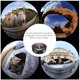 thumbnail image 5 of In 1 Phone Camera Lens Kit -2X Telephoto Lens+195 Fisheye+110 Wide Angle +10X Marco+170 Super Wide Angle Cell Phone Lens Kit for IPhone Samsung and Most of Smartphone Ormromra CZDZ-ZH62, 5 of 6