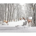 thumbnail image 2 of Wall Murals HD  Bamboo Forest Natural Landscape，Removable Large Photo Wallpaper(Self-Adhesive Wall Fabric No ) x, 2 of 6