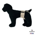 thumbnail image 5 of Barkertime Biscotti Beige Dog Diaper Pull-up, 5 of 8