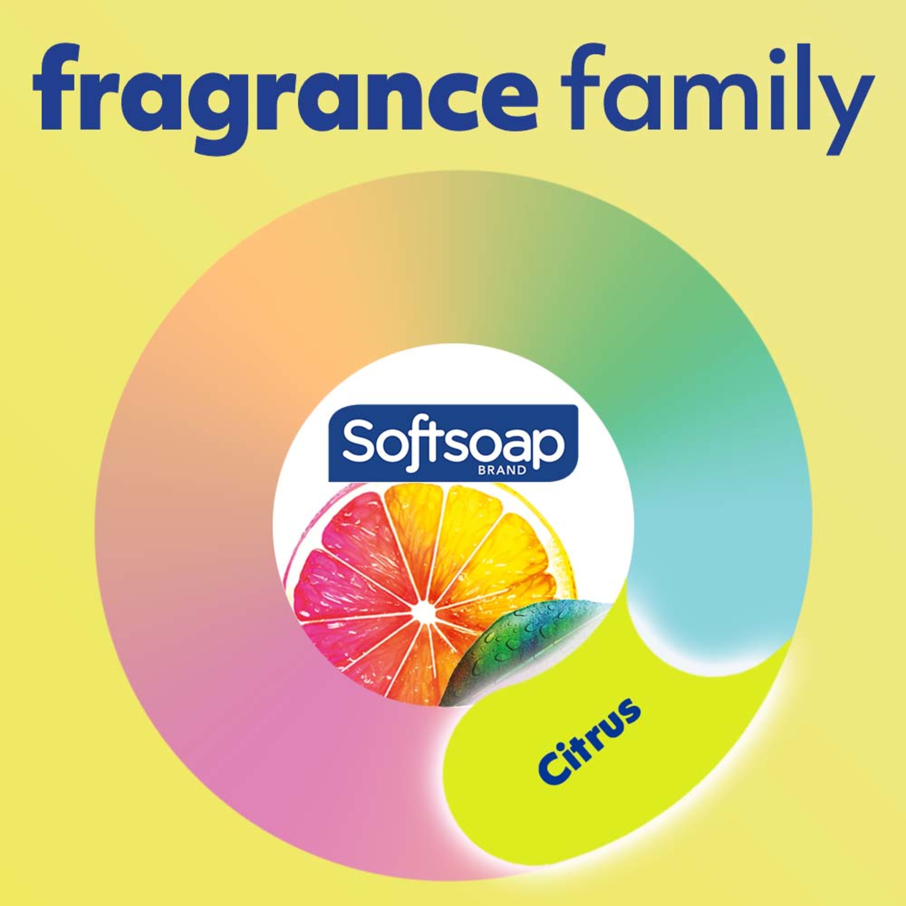 Softsoap Body Citrus Scent & Berry Splash Body Wash, 20 Oz - image 5 of 16