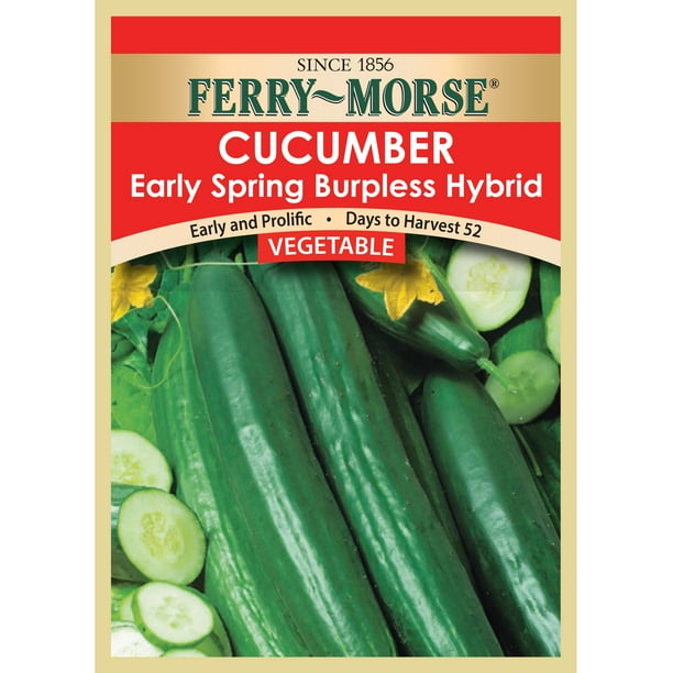 FerryMorse Cucumber Spring Burpless Hybrid