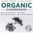 thumbnail image 2 of Pure Co 5,000mg Organic Elderberry Capsules for Immune Support, 10:1 Elderberry Extract, 30 Capsules, 2 of 10