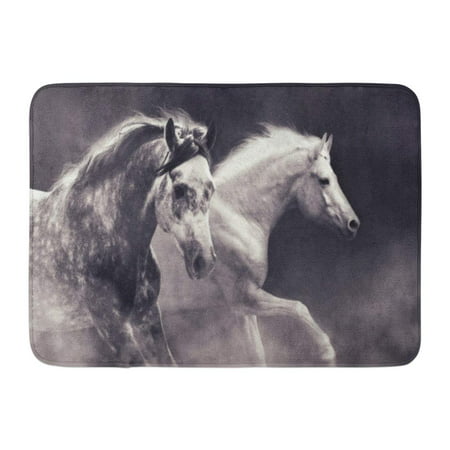 GODPOK Beautiful Black Animal Horses in Dust White Arabian Best Rug Doormat Bath Mat 23.6x15.7 (Best Horse Turnout Rug)