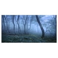 thumbnail image 2 of Sentier à Travers une Forêt d'Automne Bleue - Impression d'Art Photo sur Toile de Paysage, 2 of 3
