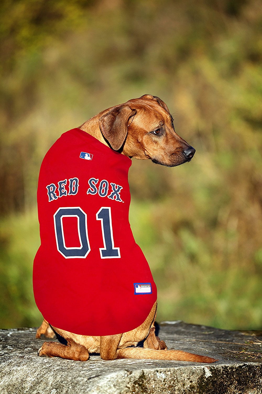 Pets First MLB Boston Red Sox Mesh Jersey for Dogs and Cats - Licensed Soft Poly-Cotton Sports Jersey - XXX-Large