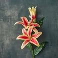 thumbnail image 2 of 12 Pack: Hot Pink Casablanca Lily Stem by Ashland, 2 of 2