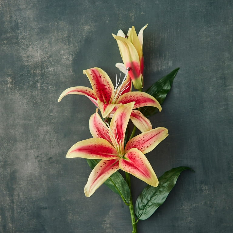 12 Pack: Hot Pink Casablanca Lily Stem by Ashland - Walmart.com