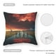 thumbnail image 5 of Stranger Things Fundas de almohada de terciopelo con tema, regalos de funda de almohada, decoración para el hogar, cojín de lanzar, regalo de cumpleaños para fans y parejas. 45cm x 45cm., 5 of 6