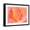 Black Frame, variant on Art.com Cabbage Rose I Art Print by Carolyn Roth, 16" x 12"