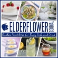 thumbnail image 5 of (4 pack) Gourmanity Elderflower Syrup, Floral & Fresh Elderberry Cordial, 16.9 fl oz, 5 of 9