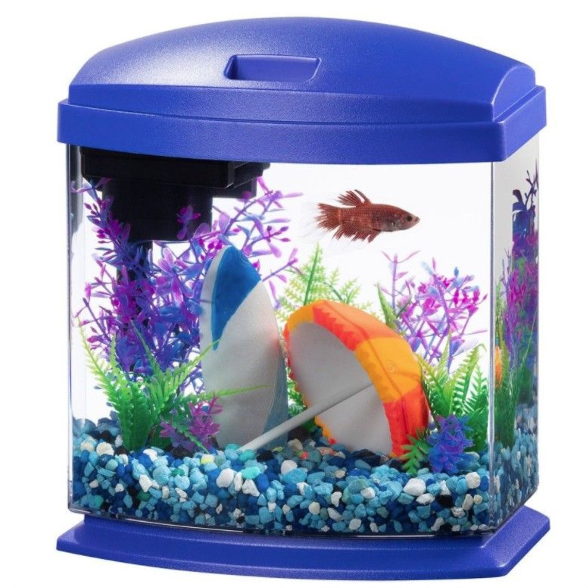 Petco Fish Tanks
