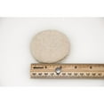 thumbnail image 2 of General Mills Pillsbury Unbaked Southern Style Biscuit Dough, 2.2 Ounce - 216 per case., 2 of 5