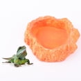 thumbnail image 4 of FESTFENDS Plato Para Reptiles Con Antideslizante Y Superficie Lisa Para Y Comida, 4 of 5