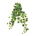 thumbnail image 2 of Vickerman 28" Varigated Green Ivy Hanging Bsh 2/Pk - FZ190228, 2 of 3