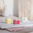 thumbnail image 3 of Yankee Candle Signature Votive Mini Candle Jar, Spicy Sangria Scent, Natural Soy Wax Blend Candle with Natural Fiber Wick, 1.3 OZ Glass Jar (Pack of 6), 3 of 3