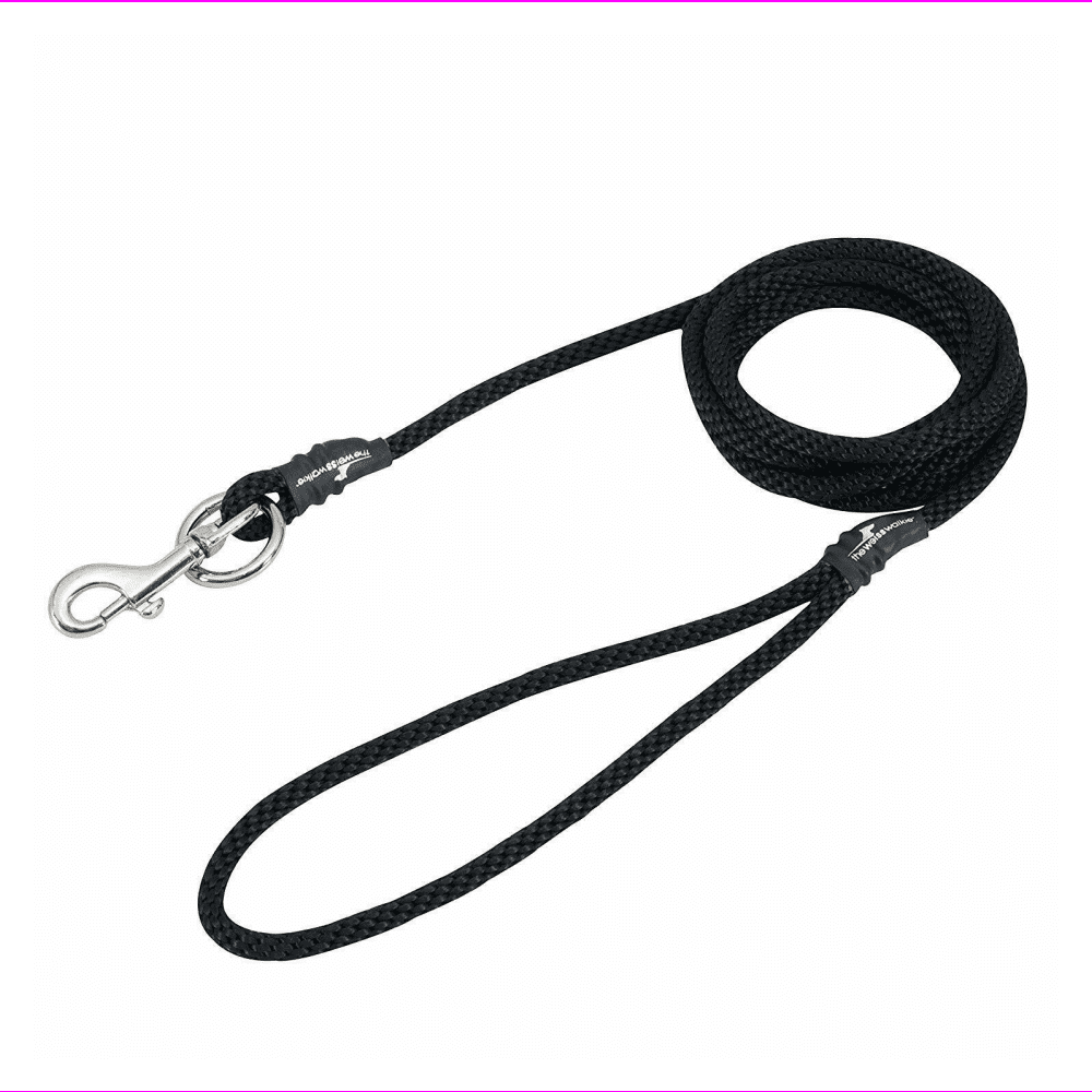 dog chain leash walmart
