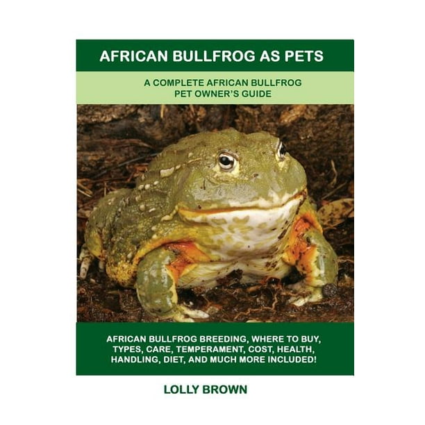 African Bullfrog as Pets A Complete African Bullfrog Pet Owner's