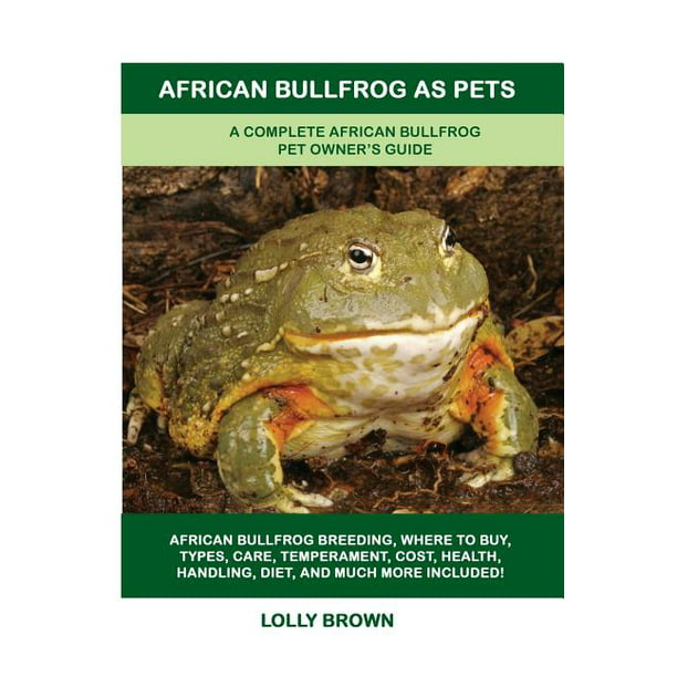 African Bullfrog As Pets A Complete African Bullfrog Pet Owner S Guide Walmart Com Walmart Com,Hydrangeas In Vase