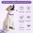 thumbnail image 4 of Collar Calmante De 2 Piezas Para Perros, Reduce La Ansiedad, 4 of 8