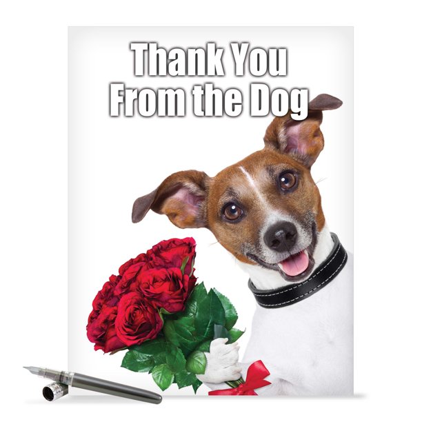 J3614 Jumbo Hilarious Thank You Greeting Card 'Thank You from the Dog
