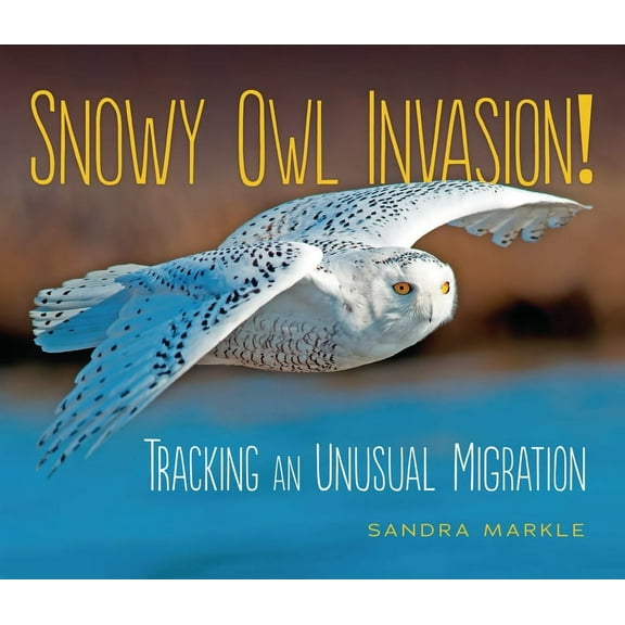 Sandra Markle's Science Discoveries Snowy Owl Invasion!: Tracking an Unusual Migration, (Paperback)