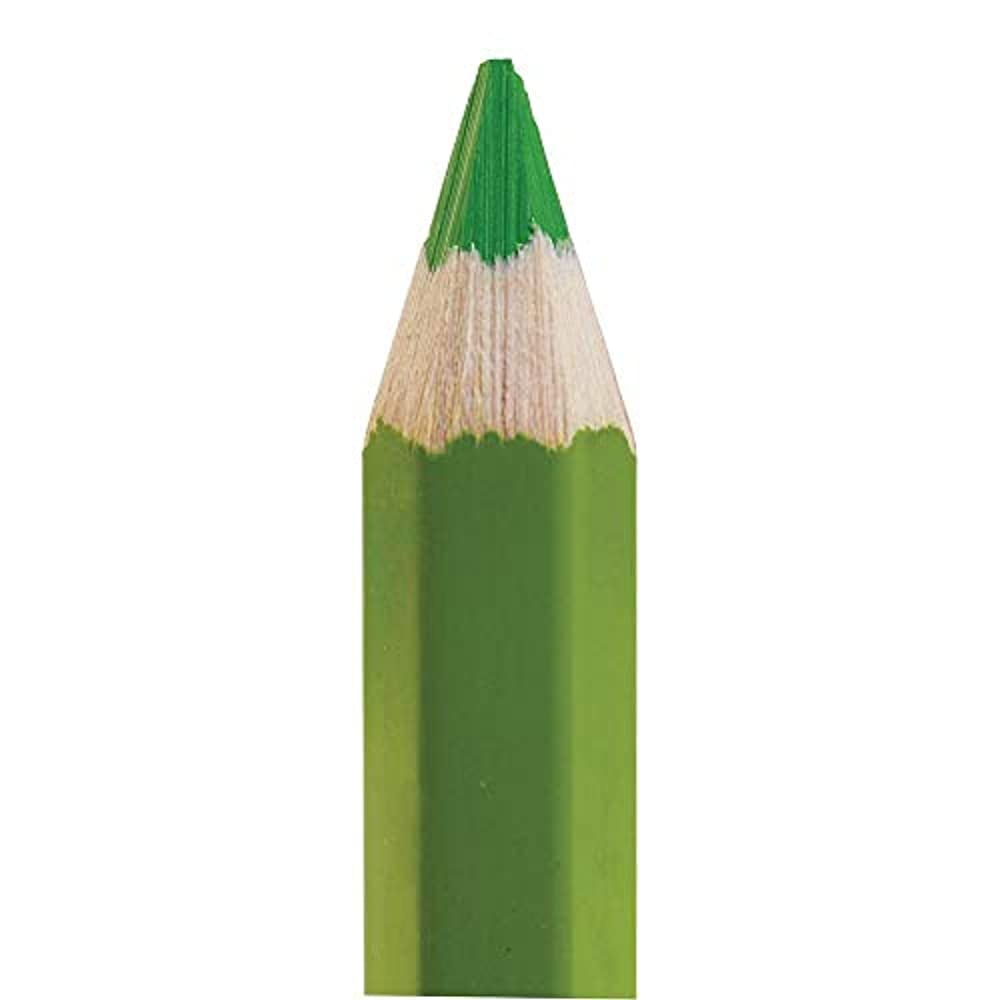 Colorations Stubby Chubby Colored Pencils - Set of 48